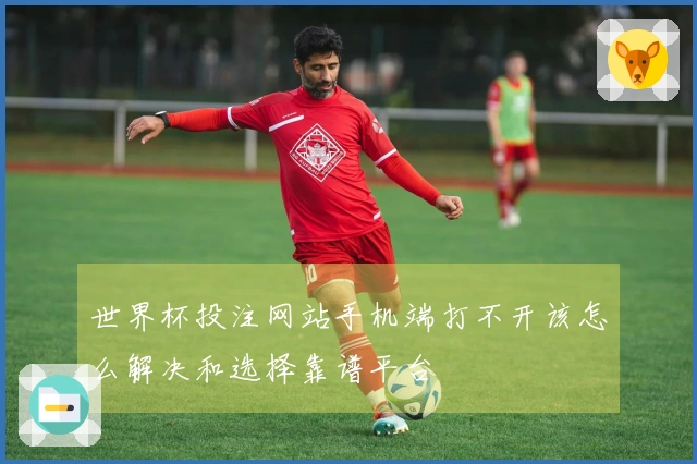 世界杯投注网站手机端打不开该怎么解决和选择靠谱平台